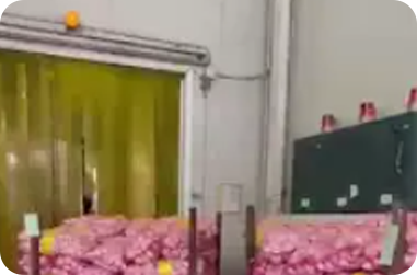 Kingta logistic-0
